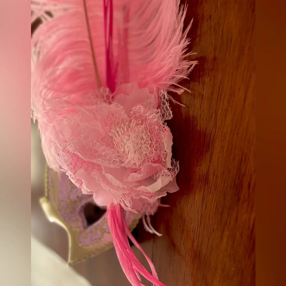 Feathered Can Can/Masquerade Mask
